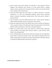 Dalykinis bendravimas organizacijoje: kelionių organizatorė "Kelionių opera" 18 puslapis