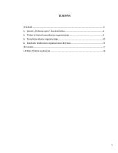 Dalykinis bendravimas organizacijoje: kelionių organizatorė "Kelionių opera" 3 puslapis