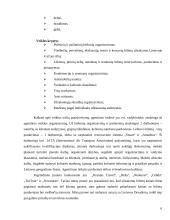 Dalykinis bendravimas organizacijoje: kelionių organizatorė "Kelionių opera" 6 puslapis