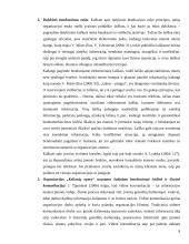 Dalykinis bendravimas organizacijoje: kelionių organizatorė "Kelionių opera" 8 puslapis