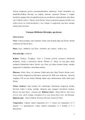 Didžiosios Britanijos ypatumai 3 puslapis