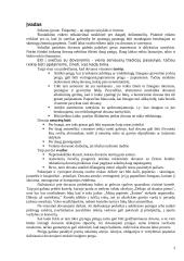 Dovanos ir suvenyrai verslo vadyboje 3 puslapis