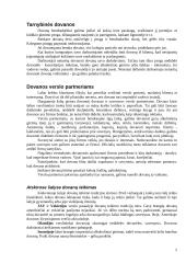 Dovanos ir suvenyrai verslo vadyboje 5 puslapis