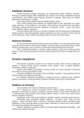 Dovanos ir suvenyrai verslo vadyboje 7 puslapis