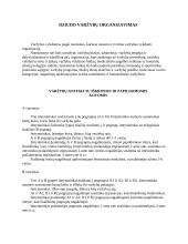 Dziudo sportas 3 puslapis