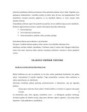 Elgesys viešose vietose ir etiketas 4 puslapis