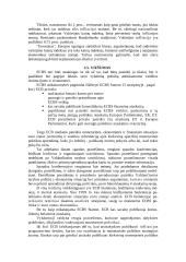Europos centrinio banko (ECB) funkcijos 11 puslapis