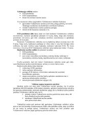 Europos centrinio banko (ECB) funkcijos 13 puslapis