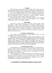 Europos centrinio banko (ECB) funkcijos 14 puslapis