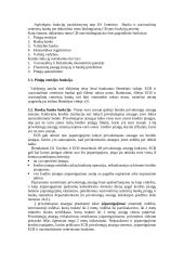 Europos centrinio banko (ECB) funkcijos 15 puslapis