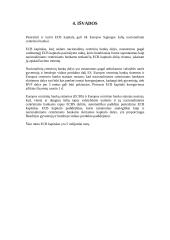 Europos centrinio banko (ECB) funkcijos 19 puslapis