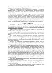 Europos centrinio banko (ECB) funkcijos 10 puslapis