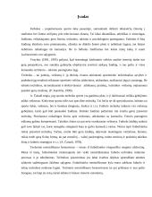 Futbolo technikos treniruotė 2 puslapis