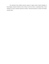 Futbolo technikos treniruotė 12 puslapis