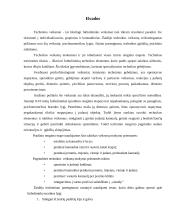 Futbolo technikos treniruotė 13 puslapis