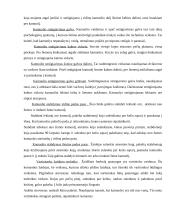 Futbolo technikos treniruotė 17 puslapis