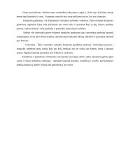 Futbolo technikos treniruotė 18 puslapis