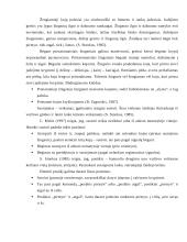 Futbolo technikos treniruotė 8 puslapis