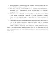 Futbolo technikos treniruotė 10 puslapis