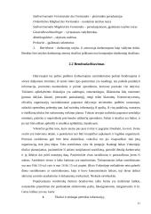 Germanų kultūrų šalių etiketas 11 puslapis