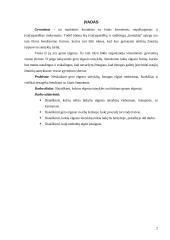 Gero elgesio taisyklės ir netinkamas elgesys 2 puslapis