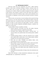 Gero elgesio taisyklės ir netinkamas elgesys 13 puslapis