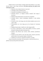 Gero elgesio taisyklės ir netinkamas elgesys 8 puslapis