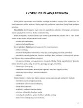 Išlaidų esmė ir klasifikavimas: didmeninė prekyba naftos produktais UAB "PET" 17 puslapis