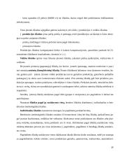 Išlaidų esmė ir klasifikavimas: didmeninė prekyba naftos produktais UAB "PET" 20 puslapis