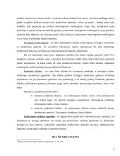 Išlaidų esmė ir klasifikavimas: didmeninė prekyba naftos produktais UAB "PET" 8 puslapis