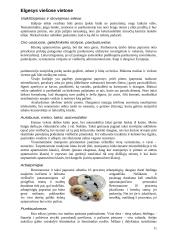 Italija: etiketas ir protokolas 11 puslapis