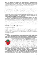 Italija: etiketas ir protokolas 15 puslapis