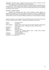 Italija: etiketas ir protokolas 16 puslapis