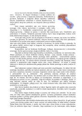 Italija: etiketas ir protokolas 3 puslapis