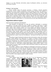 Italija: etiketas ir protokolas 5 puslapis