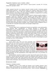 Italija: etiketas ir protokolas 7 puslapis