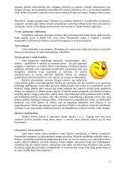 Italija: etiketas ir protokolas 8 puslapis