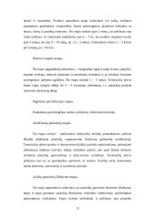 Jaunųjų povandenininkų fizinės būklės analizė 12 puslapis