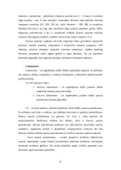 Jaunųjų povandenininkų fizinės būklės analizė 8 puslapis