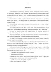 Kalbinimo etiketas 3 puslapis