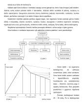 Kūno kultūra kaip sudėtinė kultūros dalis 2 puslapis