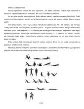 Kūno kultūra kaip sudėtinė kultūros dalis 12 puslapis