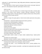 Kūno kultūra kaip sudėtinė kultūros dalis 3 puslapis