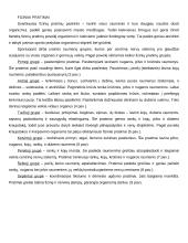 Kūno kultūra kaip sudėtinė kultūros dalis 5 puslapis