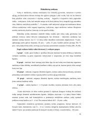 Kūno kultūros istorija 16 puslapis