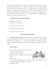 Kūno kultūros istorija 8 puslapis