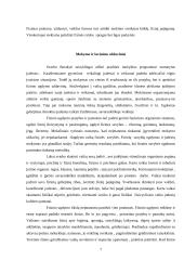 Kūno kultūros uždaviniai pradinėse klasėse 7 puslapis