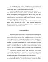 Kurčiųjų ir aklųjų fizinė veikla 3 puslapis