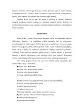 Kurčiųjų ir aklųjų fizinė veikla 4 puslapis