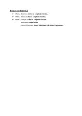 Lietuvos olimpiečiai ir jų laimėjimai 13 puslapis